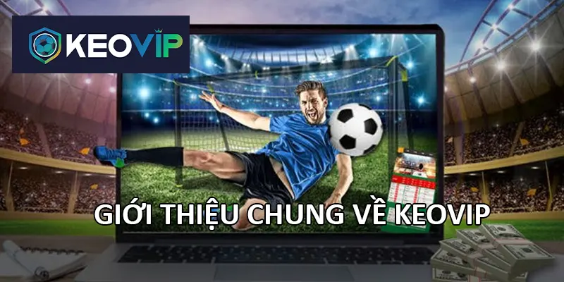 Về chúng tôi - Keovip là nền tảng chuyên cung cấp thông tin về kèo nhà cái